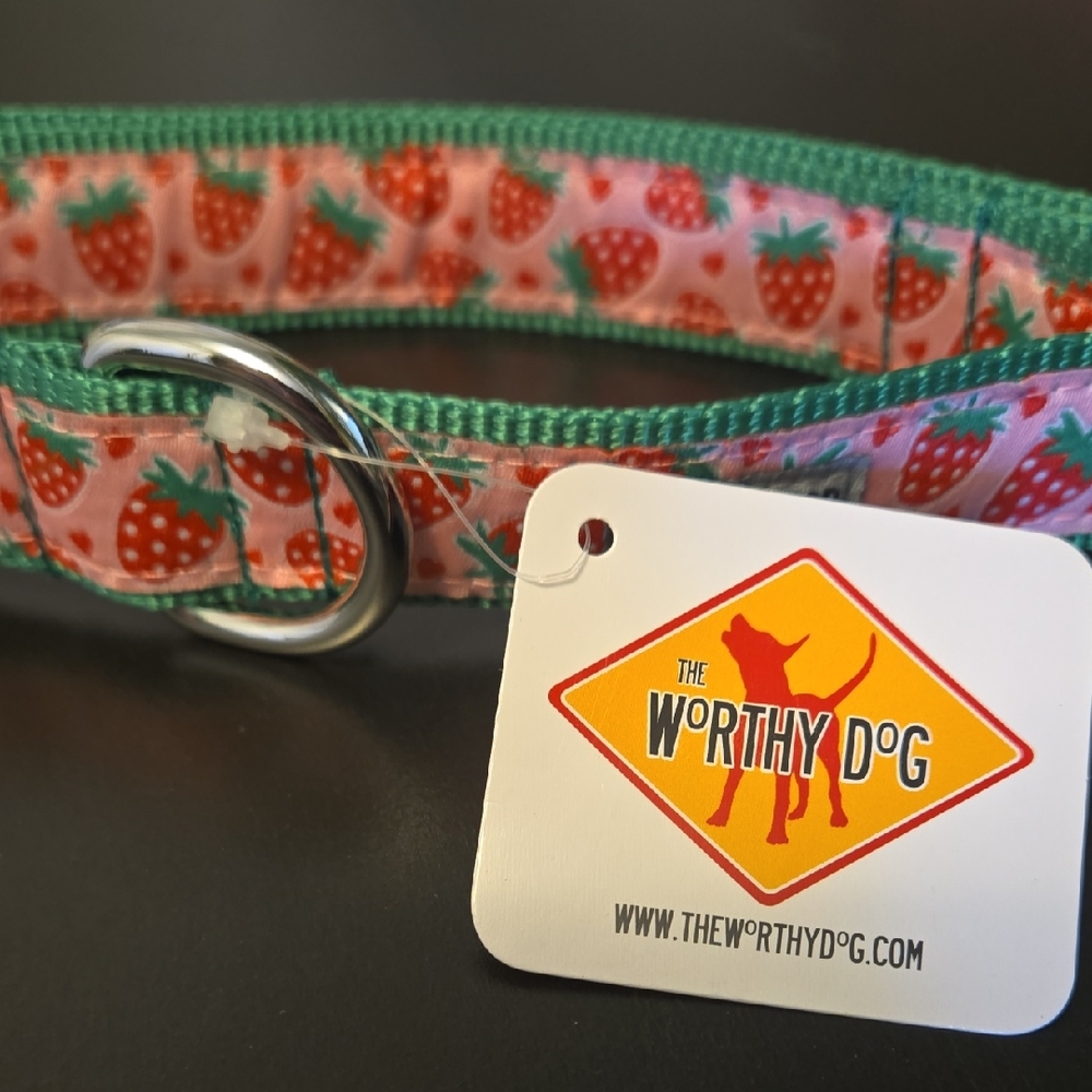 The Worthy Dog Strawberry Print Dog Collar in Green and Pink Size Large
